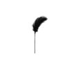 Black Feather Tickler