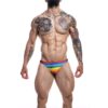 C4M03 Classic Thong Rainbow