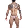 C4M11 Low Rise Bikini Brief Aztec