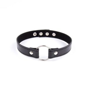 Collar with Hoop Adjustable 38