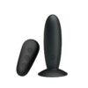 Mr. Play Vibrating Butt Plug with Remote control USB