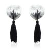 Self-Adhesive Heart Sequin Nipple Cover with Tassel Silver/Black