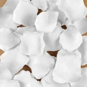 DIABLO PICANTE - 100 WHITE PETALS