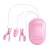 Surprise Box Vibrating Egg and Electric Shock Nipple Clamps Pink