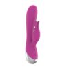 Dual Vibe with Rabbit USB Silicone Pink