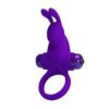 Vibrating Rabbit Cock Ring